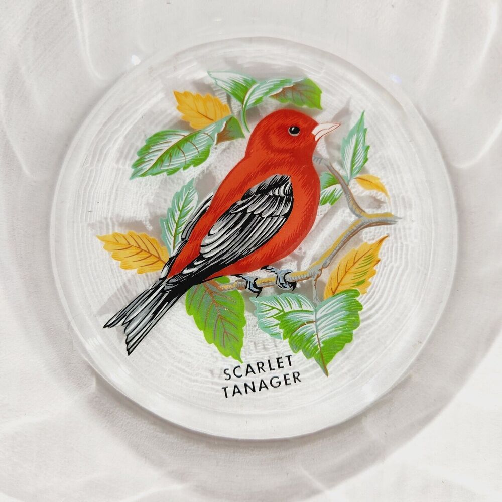 Vtg Glass Plate Painted Scarlet Tanager Bird Plate Clear Gold Trim 8" Red Nature